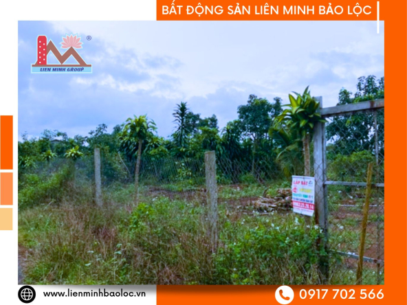 BLD17-Đất Mặt Tiền Lộc An Bảo Lộc