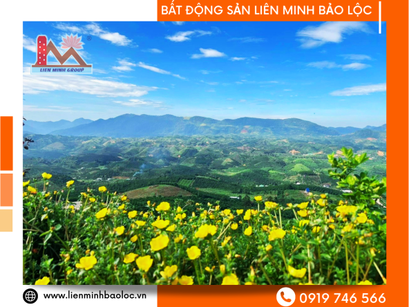 BLD235-Siêu Phẩm View Siêu Đỉnh Đồi Bát Úp Đại Lào-Bảo Lộc