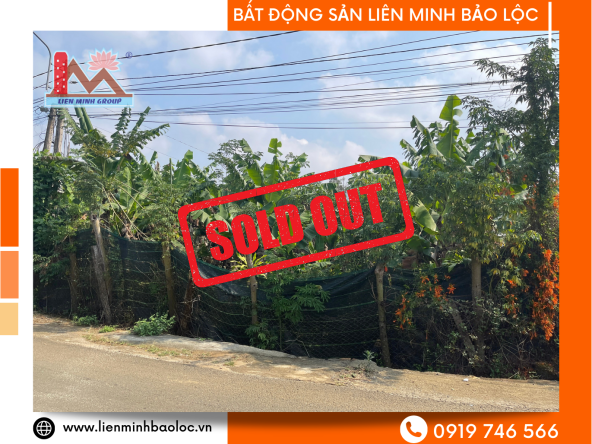 BLD577-Đất Thổ Cư Phường Blao Bảo Lộc