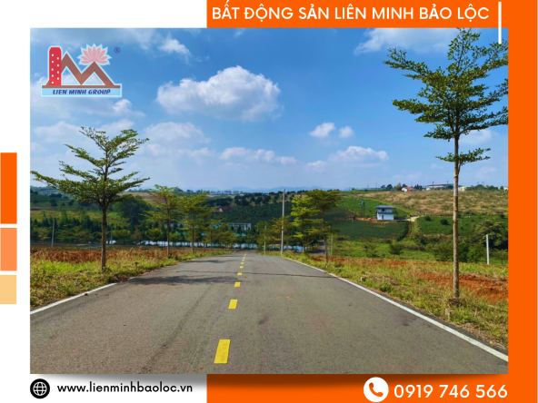 BLD381-Đất Nghỉ Dưỡng Bảo Lâm View Hồ