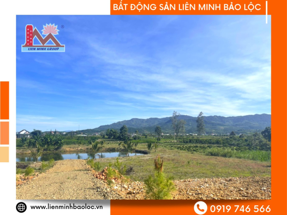 BLD355-Bán Đất View Nghỉ Dưỡng Bảo Lộc