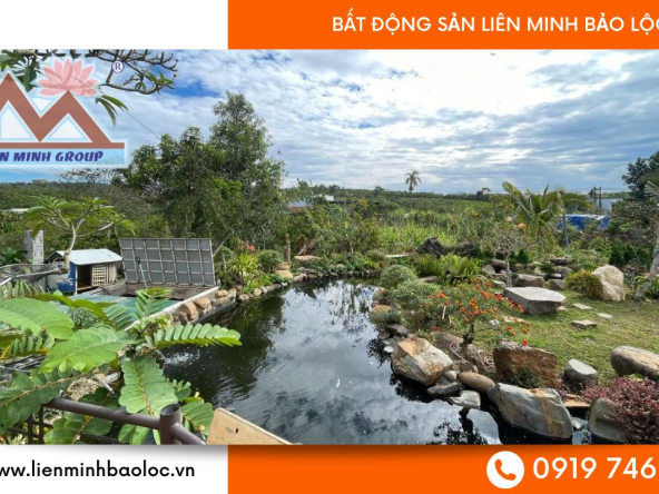 BLD444-Đất Nghỉ Dưỡng Bảo Lộc Giáp Suối