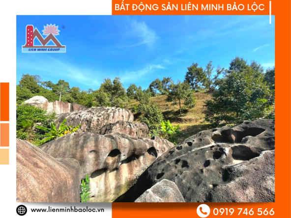BLD439-Đất Vườn Sầu Riêng View Suối Bảo Lộc