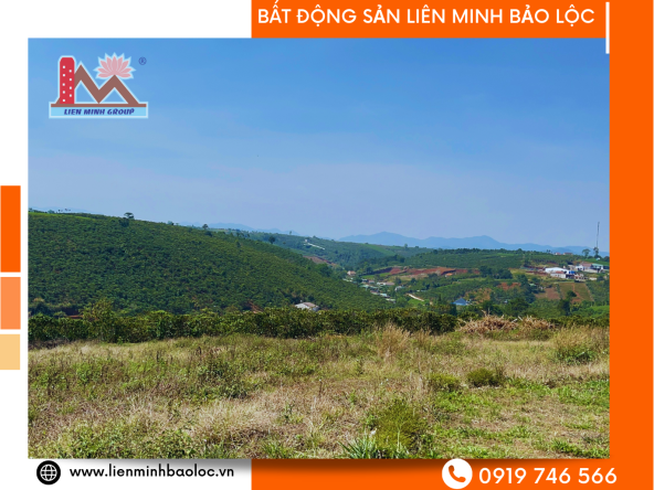 BLD564-Đất View Đẹp 60m Mặt Tiền Bảo Lộc Xã Đambri Giá rẻ