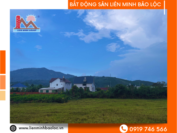 BLD592-Đất Mặt Tiền Đường Tô Hiến Thành Bảo Lộc