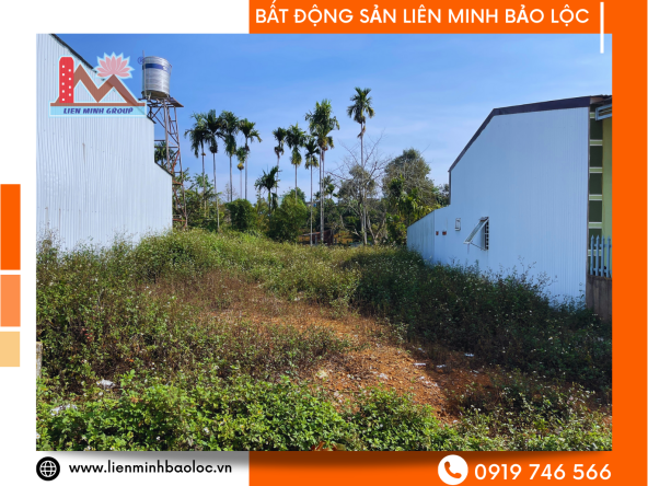 BLD587-Đất Mặt Tiền Lê Phụng Hiểu Bảo Lộc