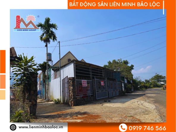 BLN99-Bán Nhà Trọ Mặt Tiền Đường 1-5 Bảo Lộc