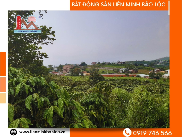 BLD639-Đất Mặt Tiền Lý Thái Tổ Đambri Bảo Lộc