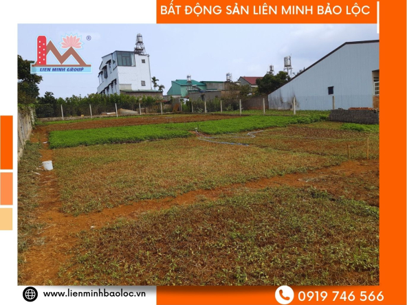 BLD638-Đất Mặt Tiền Lý Thái Tổ Bảo Lộc