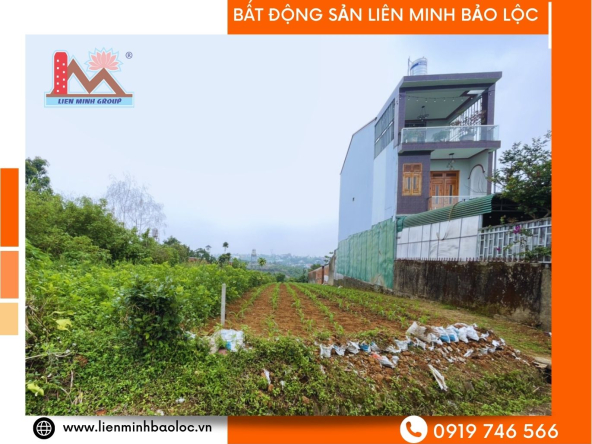 BLD612-Đất Thổ Cư Đambri Bảo Lộc Giá Rẻ