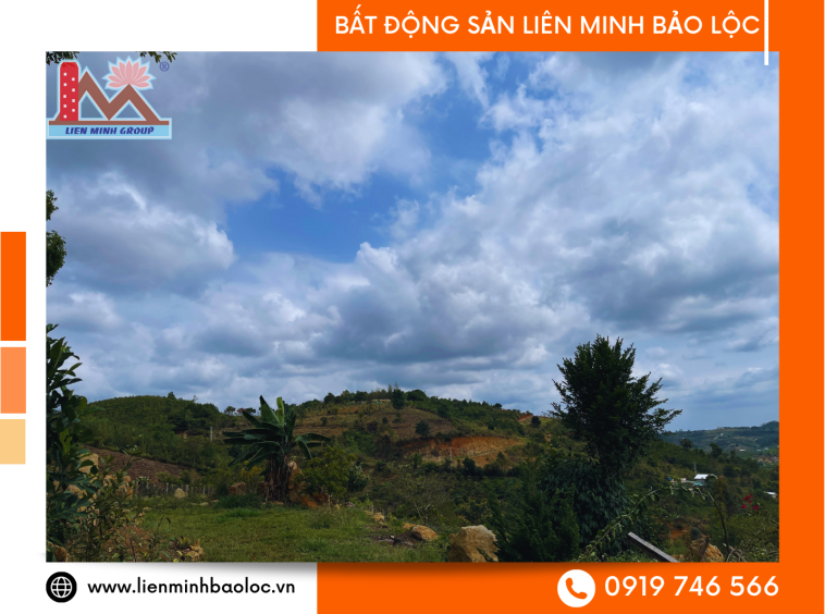 Đất Sào 80 Mặt Tiền Hẻm Trương Định - Lộc Châu - Bảo Lộc