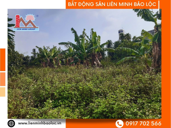 BLD635-Đất Mặt Tiền Lộc An Bảo Lộc