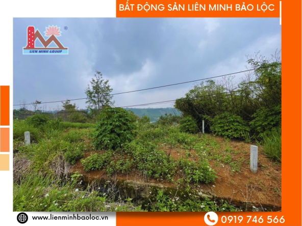 BLD608-Đất Nền Mặt Tiền Đường Tránh Nguyễn An Ninh-Bảo Lộc