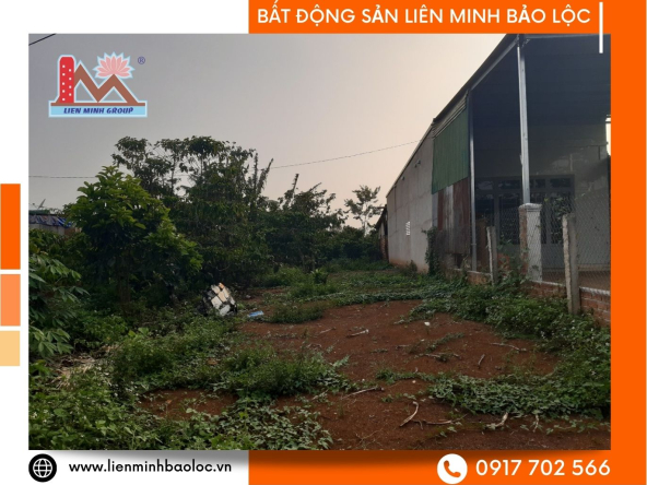 BLD636-Đất Mặt Tiền Lộc An Bảo Lộc Giá Rẻ 