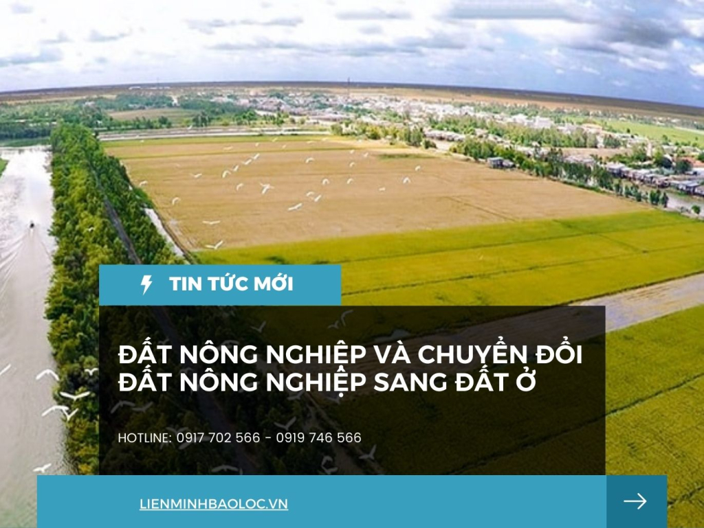 Đất Nông Nghiệp Và Chuyển Đổi Từ Đất Nông Nghiệp Sang Đất Ở