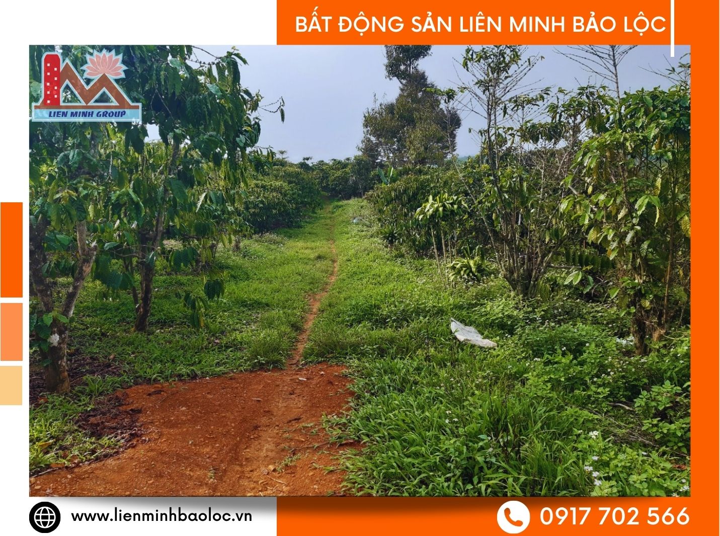 Đất trồng cây công nghiệp Bảo Lâm giá rẻ