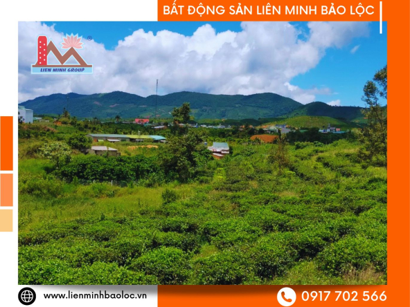 BLD644-Bán 2 Lô Đất Đại Lào Bảo Lộc