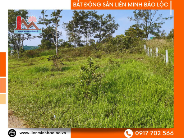 BLD653-Bán Đất Đường Tô Hiến Thành-Lộc Châu Giá Rẻ