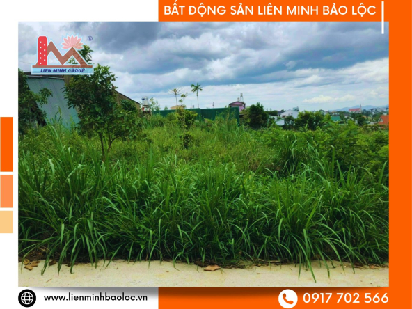 BLD687-Bán Đất Mặt Tiền Lý Thái Tổ Bảo Lộc