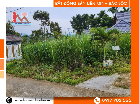 BLD670-Bán Đất 2 Mặt Tiền Đường 1/5-Bảo Lộc