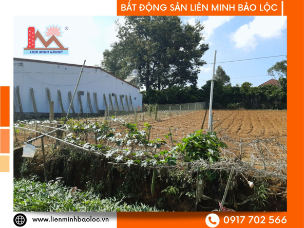 BLD687-Bán Đất Thổ Cư Lộc Sơn Bảo Lộc Nằm Trong Khu Dân Cư