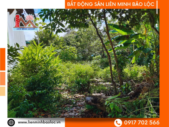 BLD668-Bán Đất Đường 1 Tháng 5 Bảo Lộc Phường B'Lao Ngay Trung Tâm