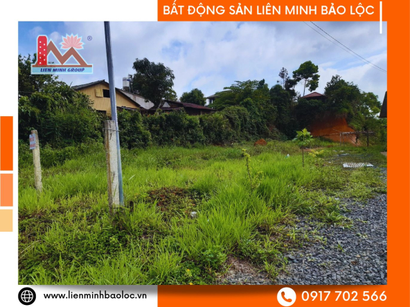 BLD662-Bán Đất Ngay Quốc Lộ 20 Bảo Lộc Giá Tốt