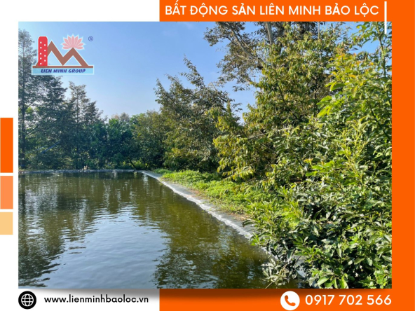 BLD679-Bán Đất Mặt Tiền Hòa Nam Di Linh