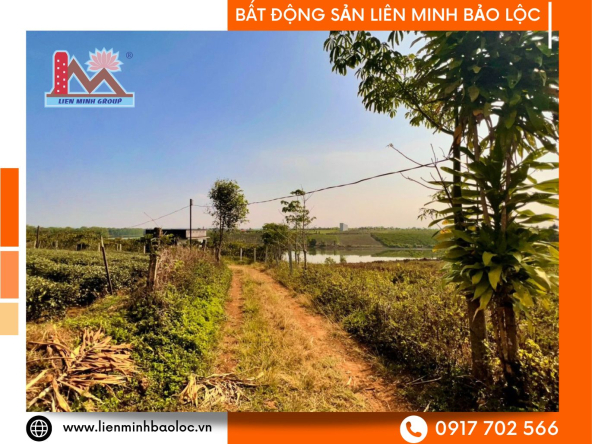 Bán Đất Mặt Tiền Lộc Quảng - Bảo Lâm View Hồ Cánh Bướm