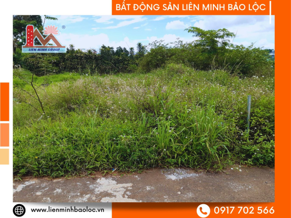 BLD672-Bán Đất Trung Tâm Phường Blao Bảo Lộc