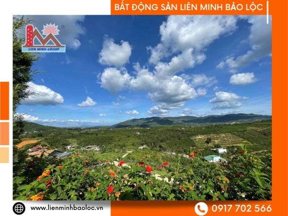 Đất Hẻm Đồi Con Voi đường Phạm Hồng Thái - Bảo Lộc