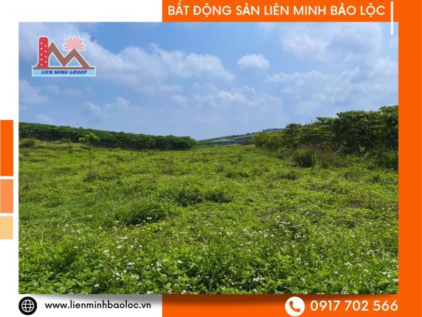 BLD631-Đất Mặt Tiền Lý Thường Kiệt Lộc Phát