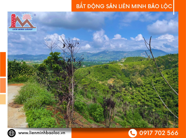 Đất nền bảo Lâm giá rẻ