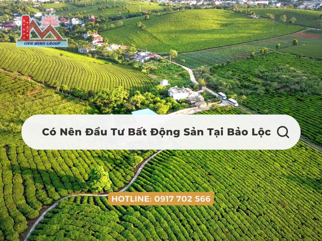 Có Nên Đầu Tư Bất Động Sản Tại Bảo Lộc
