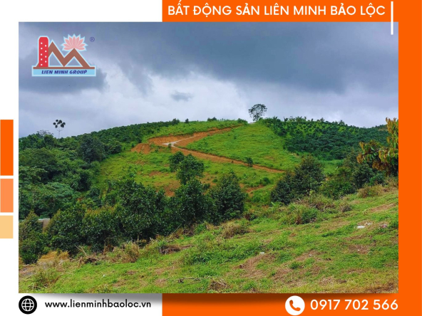 BLD663-Bán 3 Lô Đất Lộc Thành Bảo Lâm Liền Kề