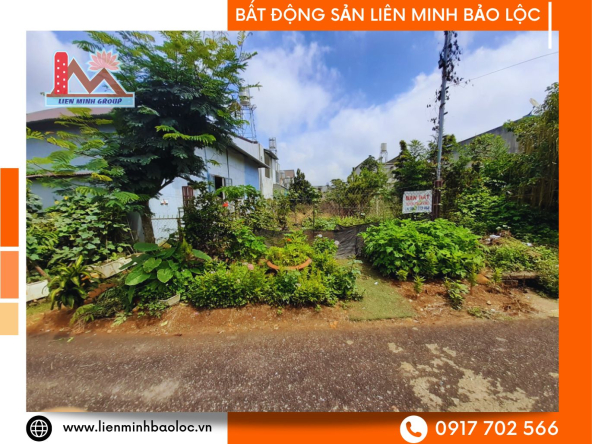BLD682-Bán Đất Full Thổ Cư Bảo Lộc Giá Rẻ
