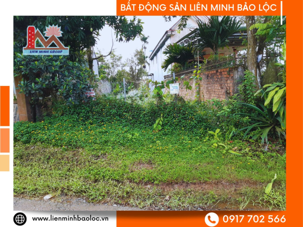 BLD683-Bán Đất Bảo Lộc Đường Tố Hữu-Lộc Sơn