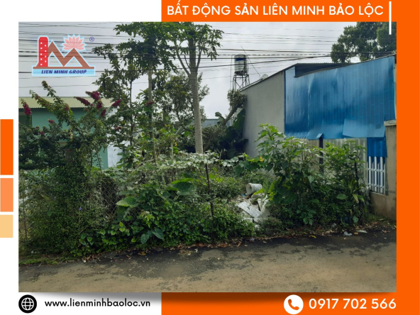 BLD677-Bán Đất Lam Sơn-Bảo Lộc Ngay Trung Tâm