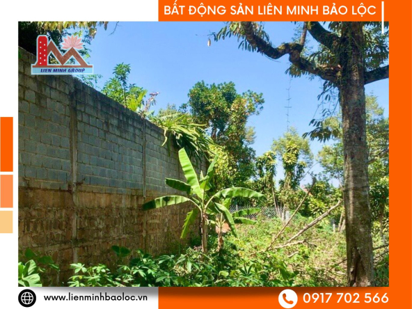 BLD675-Bán Đất Tây Sơn Phường 2 Bảo Lộc