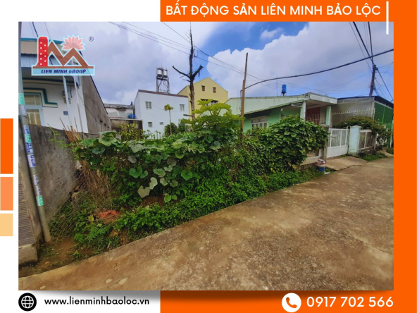 BLD684-Bán Đất Nền Trung Tâm Bảo Lộc Giá Tốt