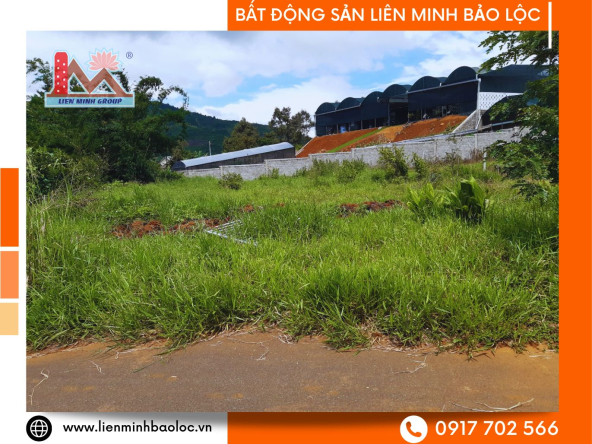 BLD673-Bán Đất Nền Đường Hoài Thanh Bảo Lộc Giá Rẻ