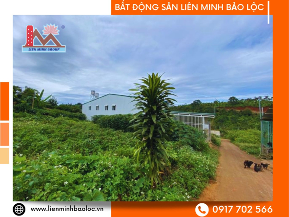 BLD221-Bán Đất Trung Tâm Phường 2 Bảo Lộc