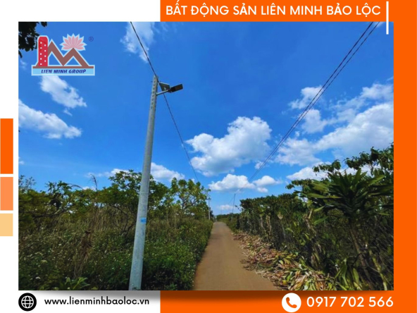 BLD374-Bán 4 Lô Đất Liền Kề Bảo Lâm Chỉ 550 Triệu