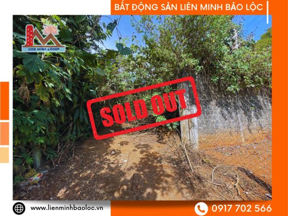 BLD401-Bán Đất Quang Trung Phường 2 Bảo Lộc