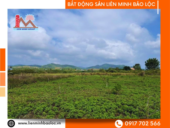 BLD620-Bán 2 Lô Liền Kề Hẻm Phan Chu Trinh-Bảo Lộc