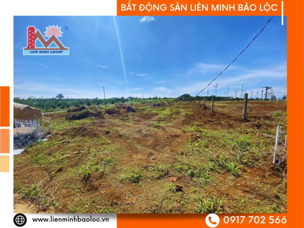 BLD298-Bán 2 Lô Liền Kề Full Thổ Cư Bảo Lâm