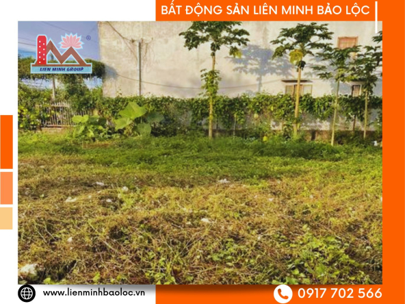 BLD30-Bán Đất Full Thổ Cư Bảo Lộc Giá Rẻ