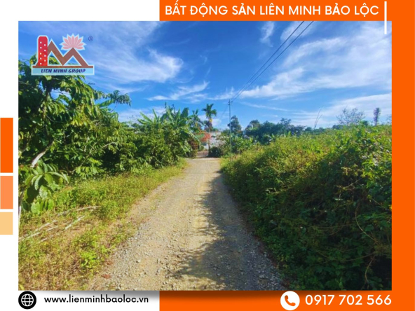 BLD330-Bán 2 Lô Đất Thổ Cư Lộc Thành Bảo Lâm giá cực tốt để đầu tư