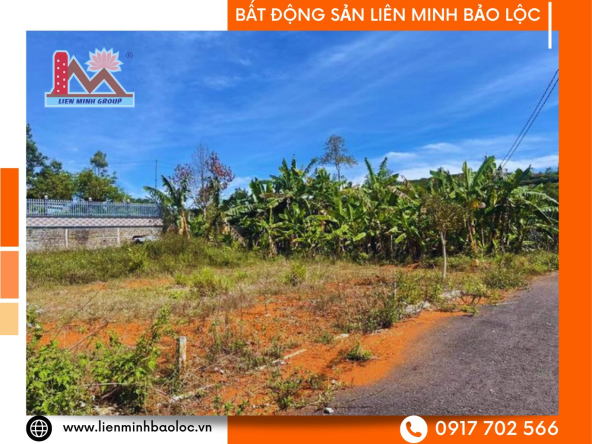 BLD399-Đất Khu Phân Lô Long Biên Bảo Lộc trung tâm phường 2