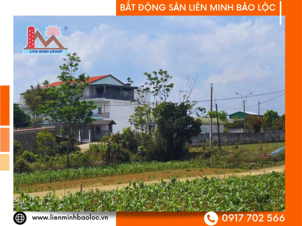 BLD524-Đất Ngay Ngã 5 Dambri Bảo Lộc Chỉ 780 Triệu